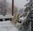 24.01.2012