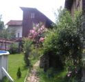 my garden - 24.07.2011 001