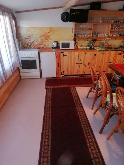 The kitchen with the cooker and the fridge