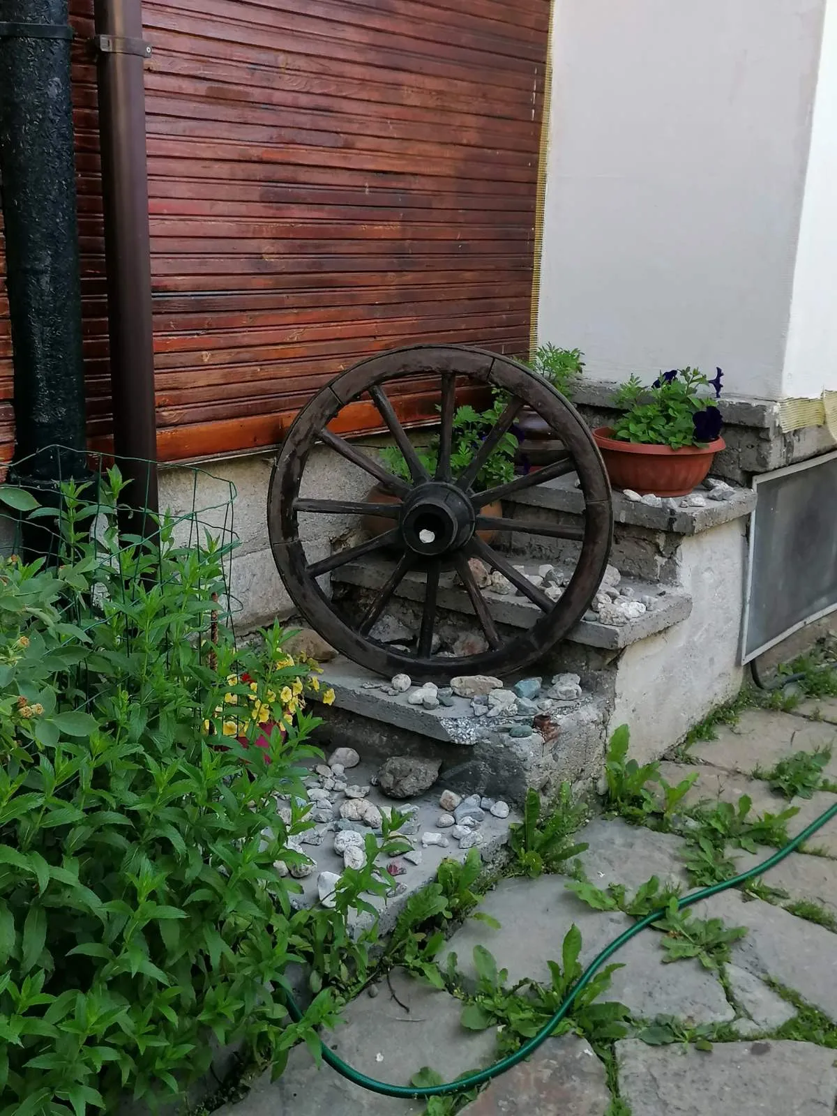 Колело от каруца в двора